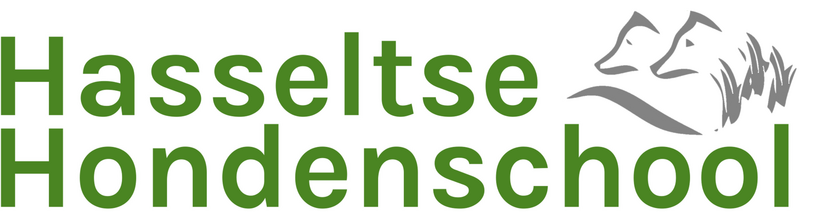 Hasseltse Hondenschool Hasselt gebruikt Ledenadmin