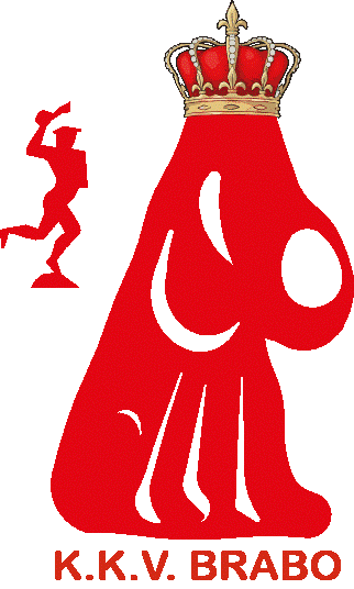 K.K.V. Brabo Brasschaat gebruikt Ledenadmin