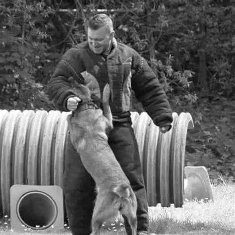 Extreme K9 Hulshout gebruikt Ledenadmin