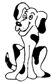 Hondenschool Sloeber Kontich gebruikt Ledenadmin